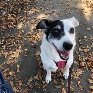 Meet your Posher, Nikki